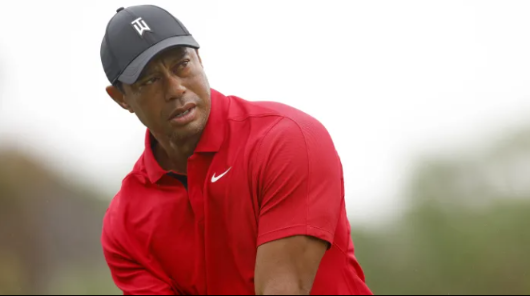 Born to Play Golf: The Extraordinary Journey of Tiger Woods