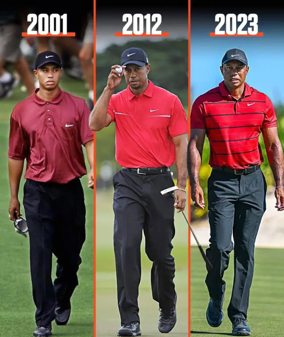 Tiger Woods Evolution