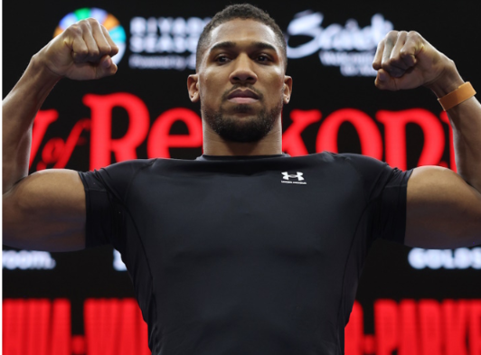 Tim Bradley Criticizes Tyson Fury’s Response to Francis Ngannou’s Challenge Wants Joshua to Defend Boxing