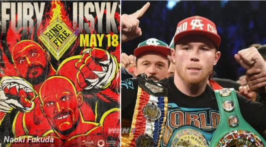 WBC under fire again over Fury vs Usyk and Canelo ‘protection’
