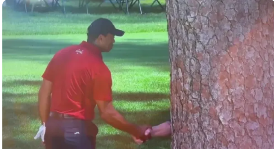Revealed: Exactly what Tiger Woods told Augusta National tree at The Masters