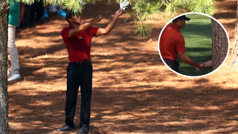 Top Internet Reactions as Tiger Woods Appears to Shake Hands with a Tree