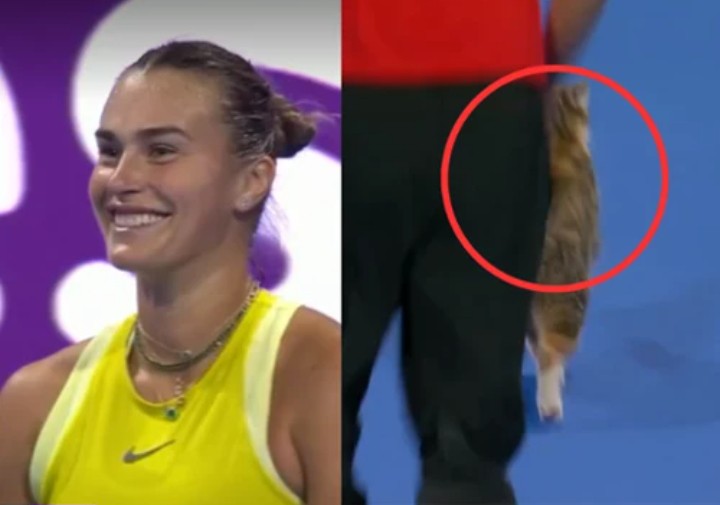 Incydent podczas meczu Aryny Sabalenki, intruz na korcie. WTA natychmiast reaguje
